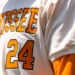 Tennessee baseball fall